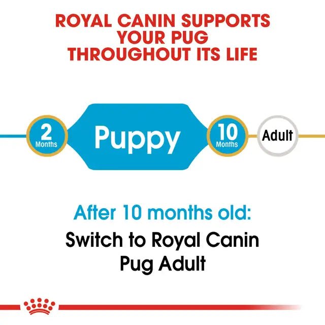 Royal Canin Pug Puppy Dry Dog Food – 1.5kg - Pet Supply