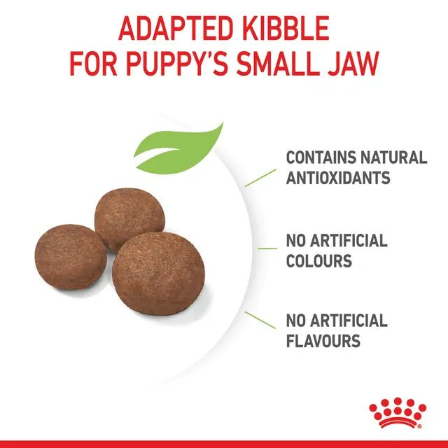 Royal Canin Puppy (Medium Breed) Dry Dog Food - Pet Supply