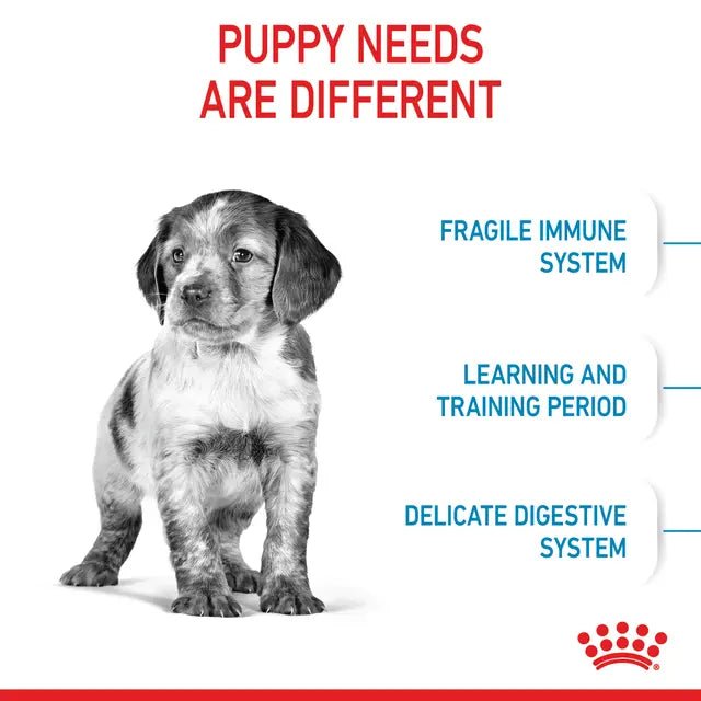 Royal Canin Puppy (Medium Breed) Dry Dog Food - Pet Supply