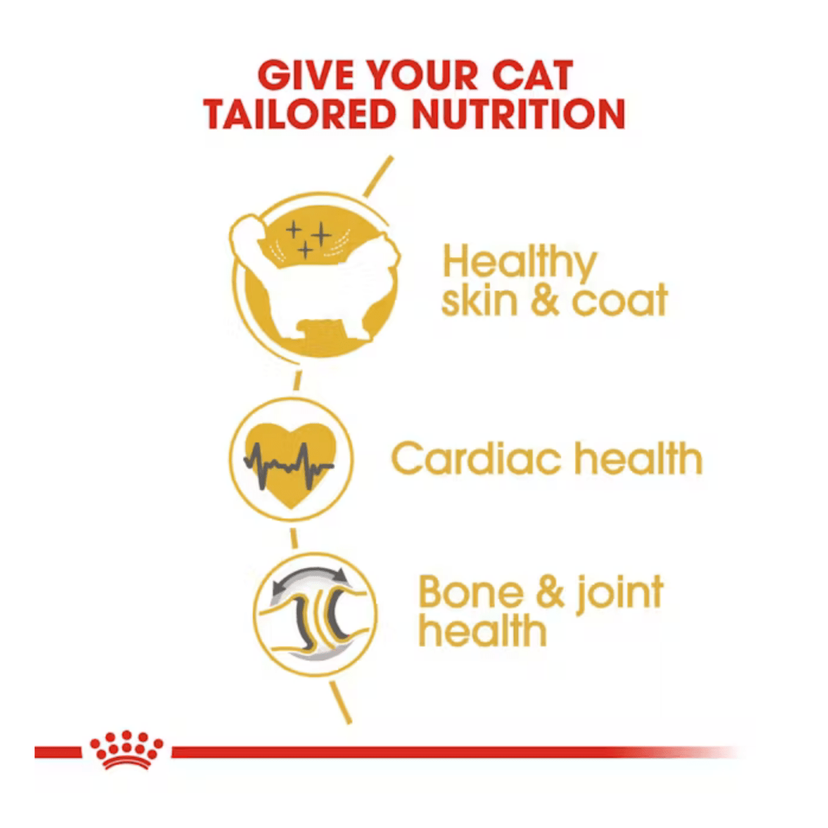 Royal Canin Ragdoll Adult Dry Cat Food - Pet Supply