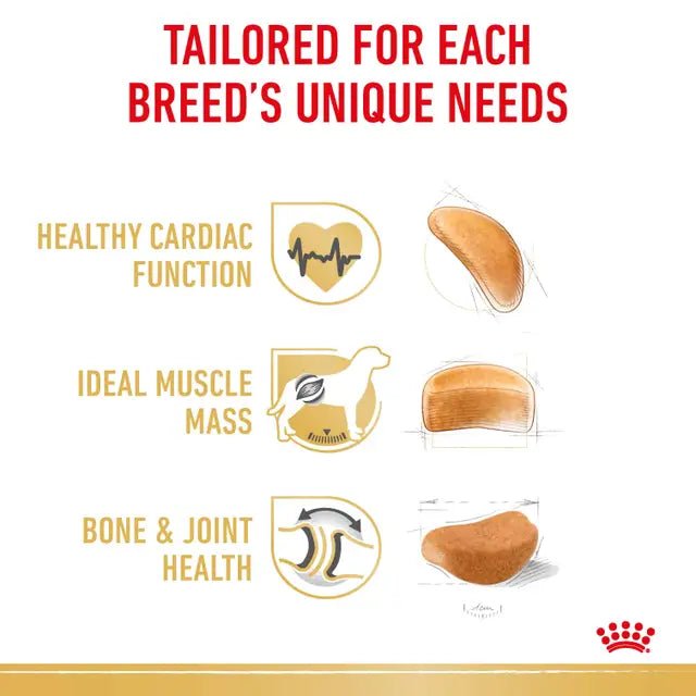 Royal Canin Rottweiler Adult Dry Dog Food – 12kg - Pet Supply