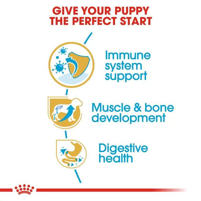 Royal Canin Rottweiler Puppy Dry Dog Food – 12kg - Pet Supply