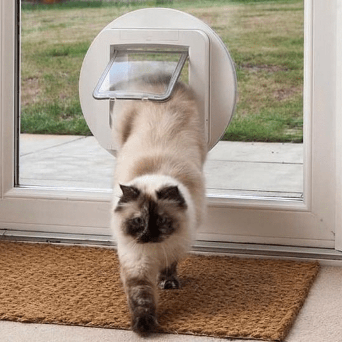 Sureflap Microchip Cat Flap - Pet Supply