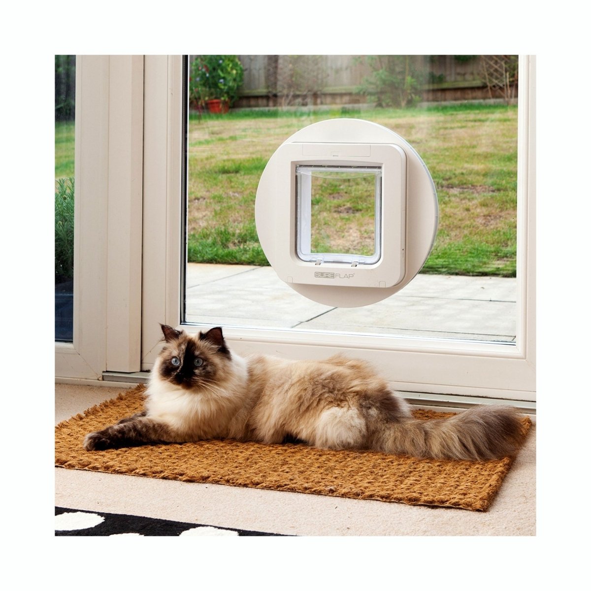 SureFlap Microchip Pet Door – Smart, Secure Pet Access NZ
