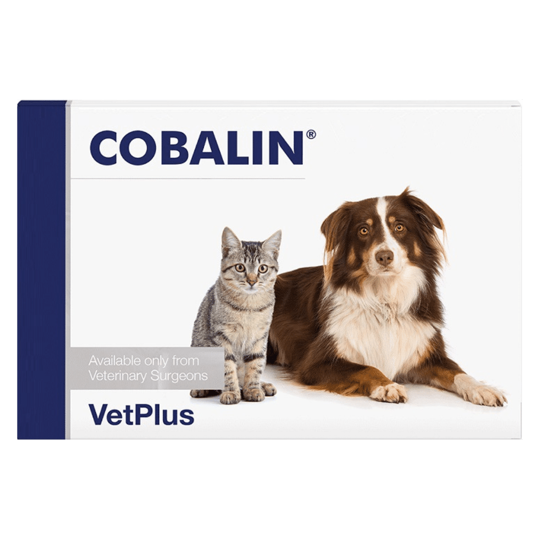 VetPlus Cobalin 60 Capsules (Dog & Cat Vitamin Supplement) - Pet Supply